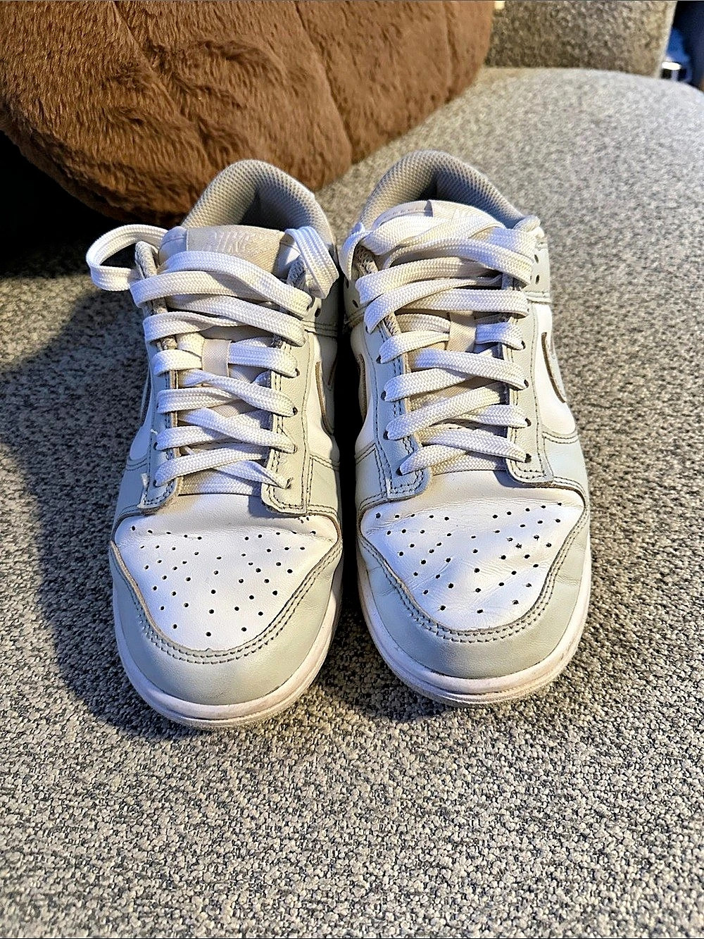 Nike Dunk Low Light Smoke Grey White Sneakers
